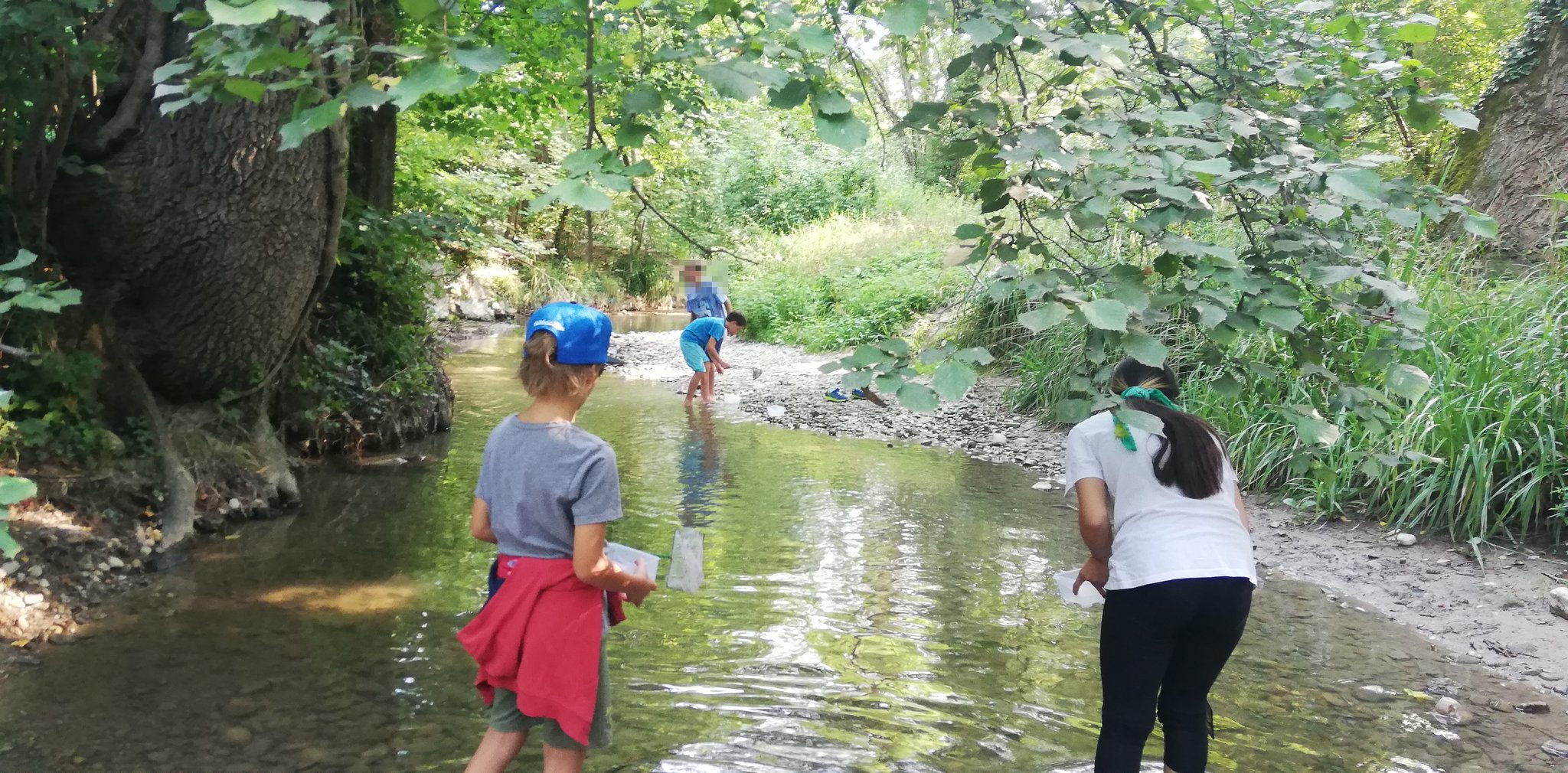 Animaux et plantes de la rivière 2020