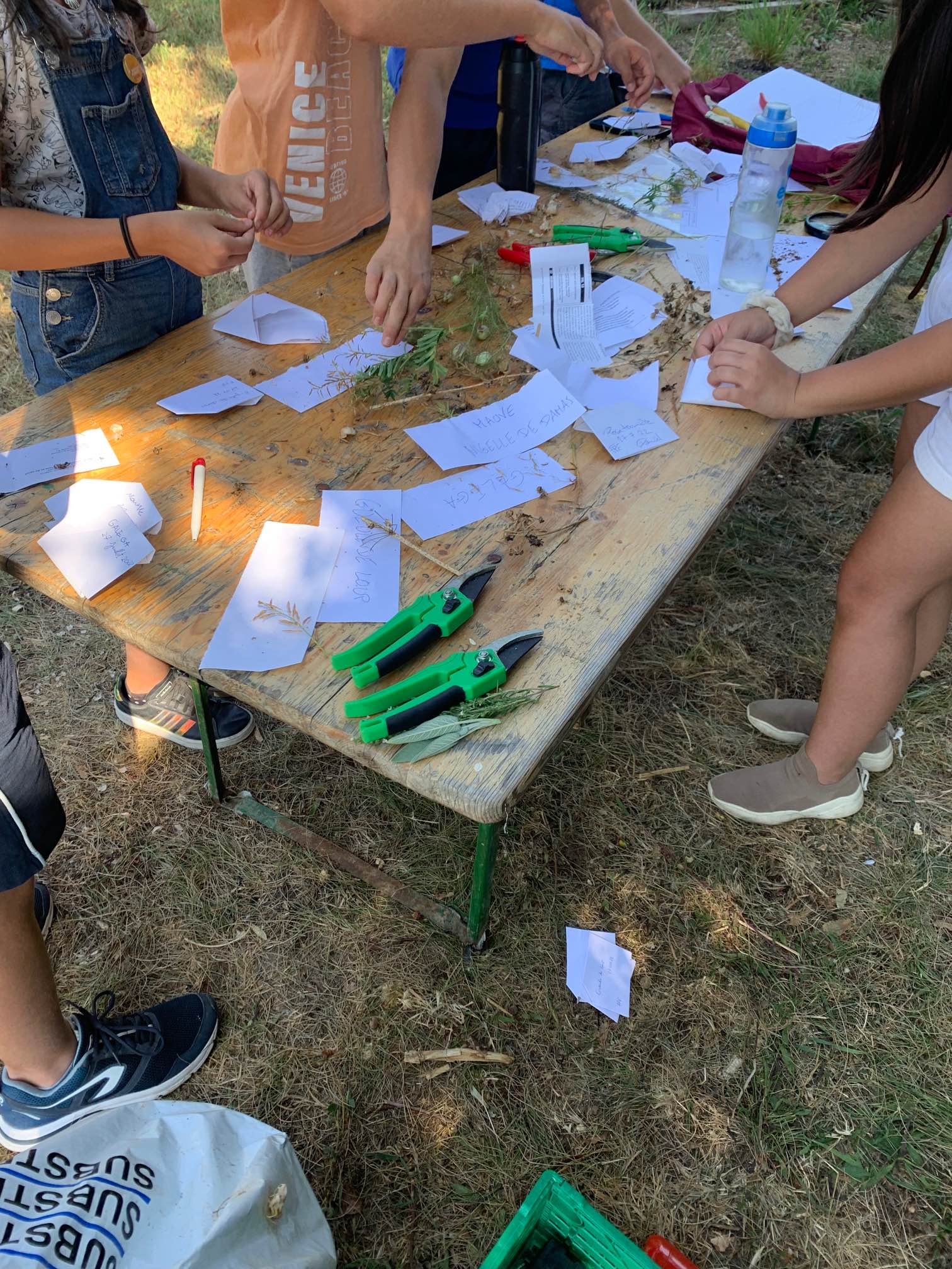 Initiation au jardinage 2022