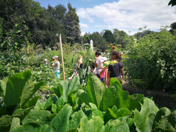 Cuisine dans le potager bio