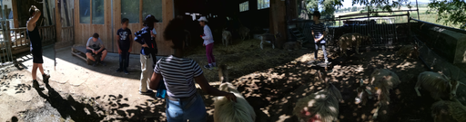 Découvre la vie de la ferme de la Touvière!