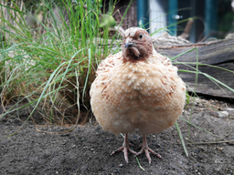 Découverte du métier de gardien d'animaux