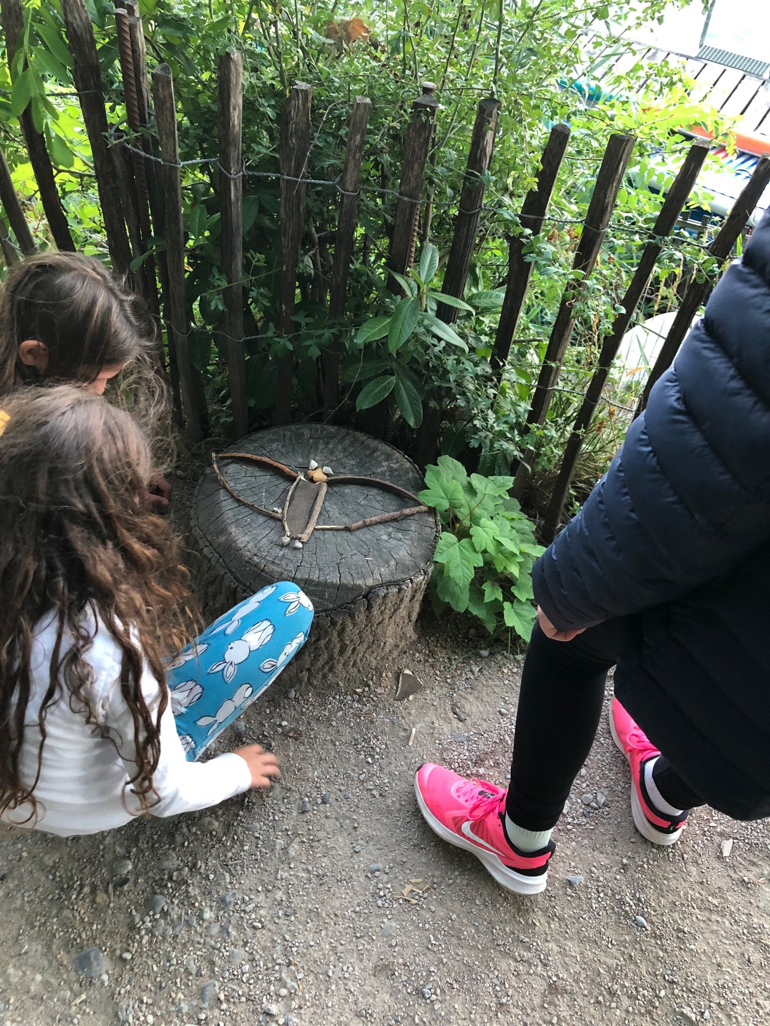 A la découverte des chauves-souris 2022