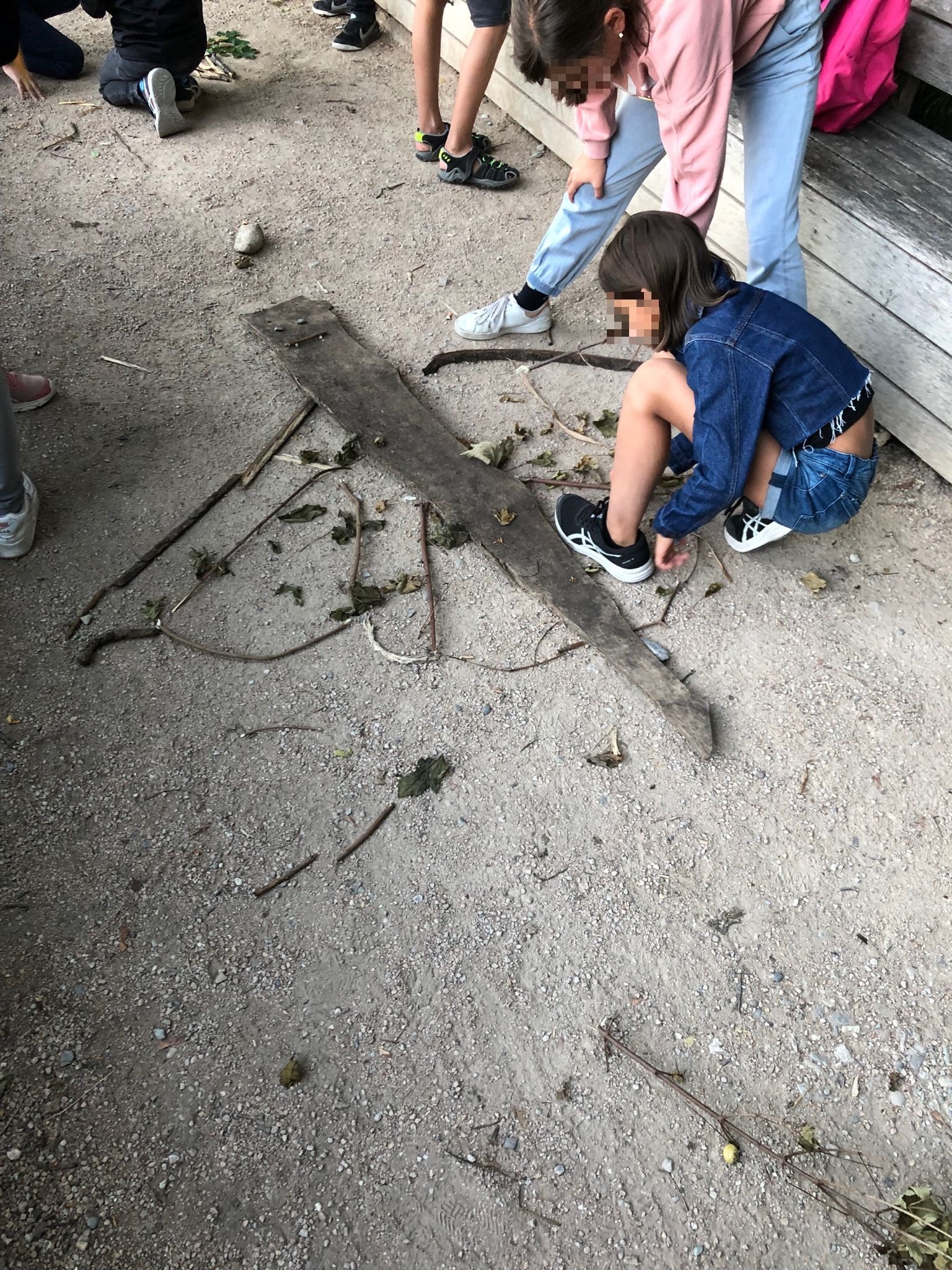 A la découverte des chauves-souris 2022