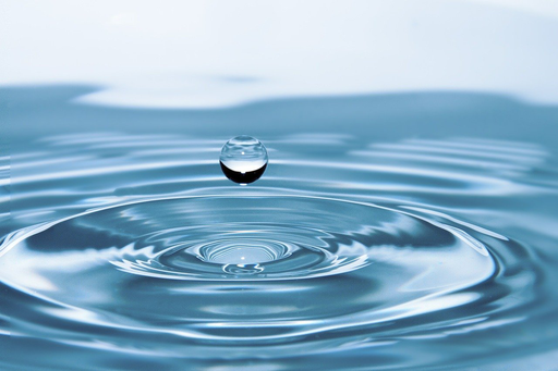 L'eau dans tous ses états 2020