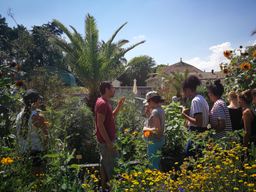 Cuisine dans le potager bio