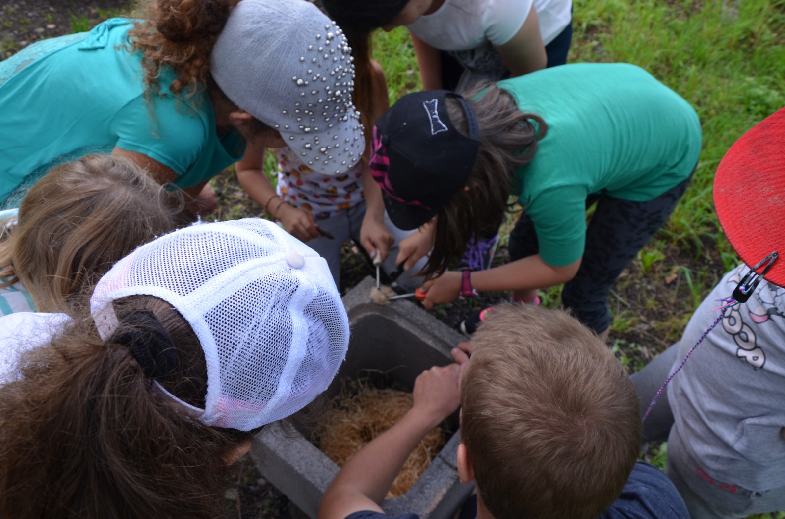 Ateliers bricolages énergies et alimentation 2021