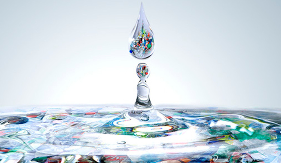 L'eau dans tous ses états 2021