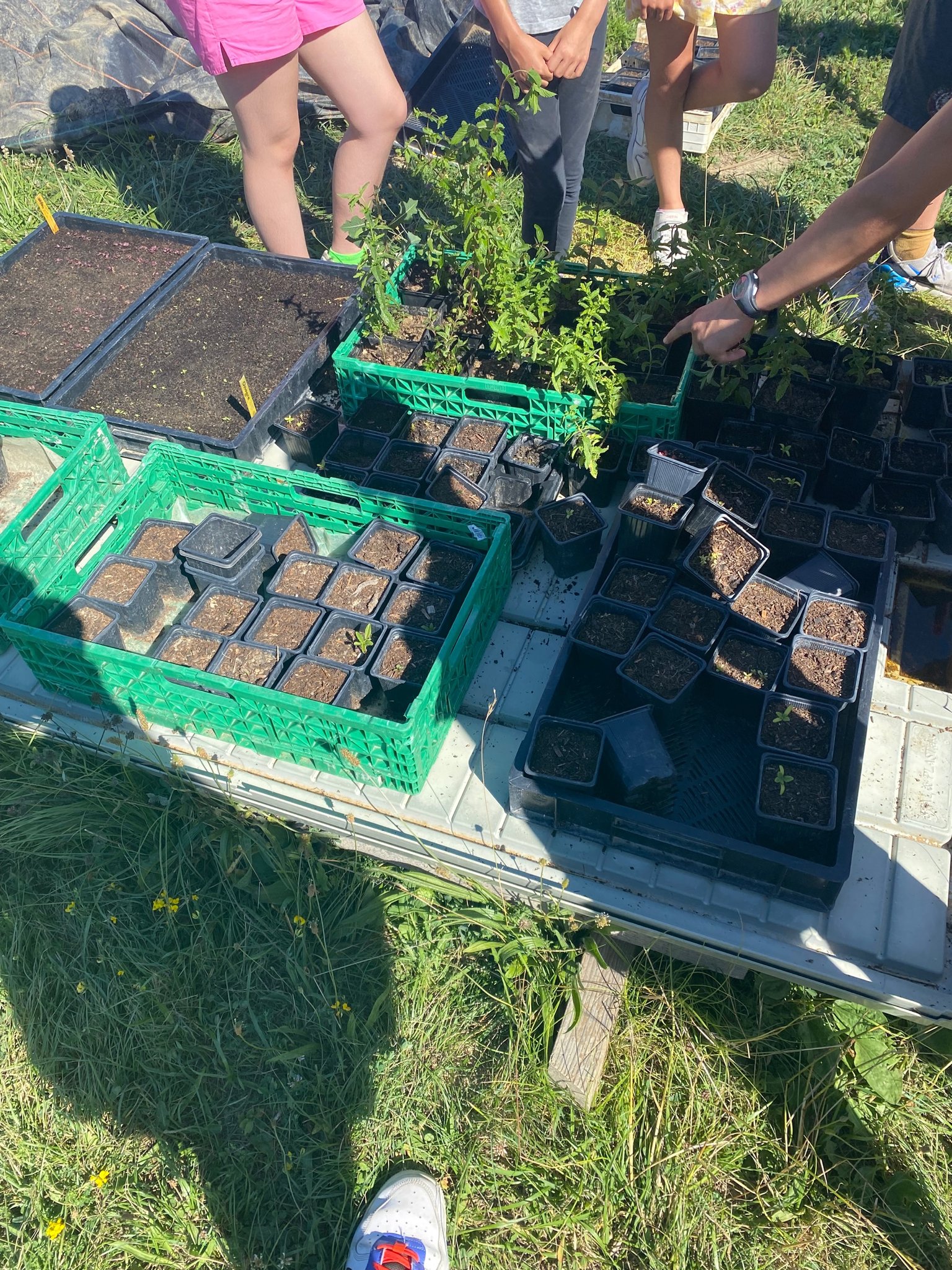 Initiation au jardinage 2022