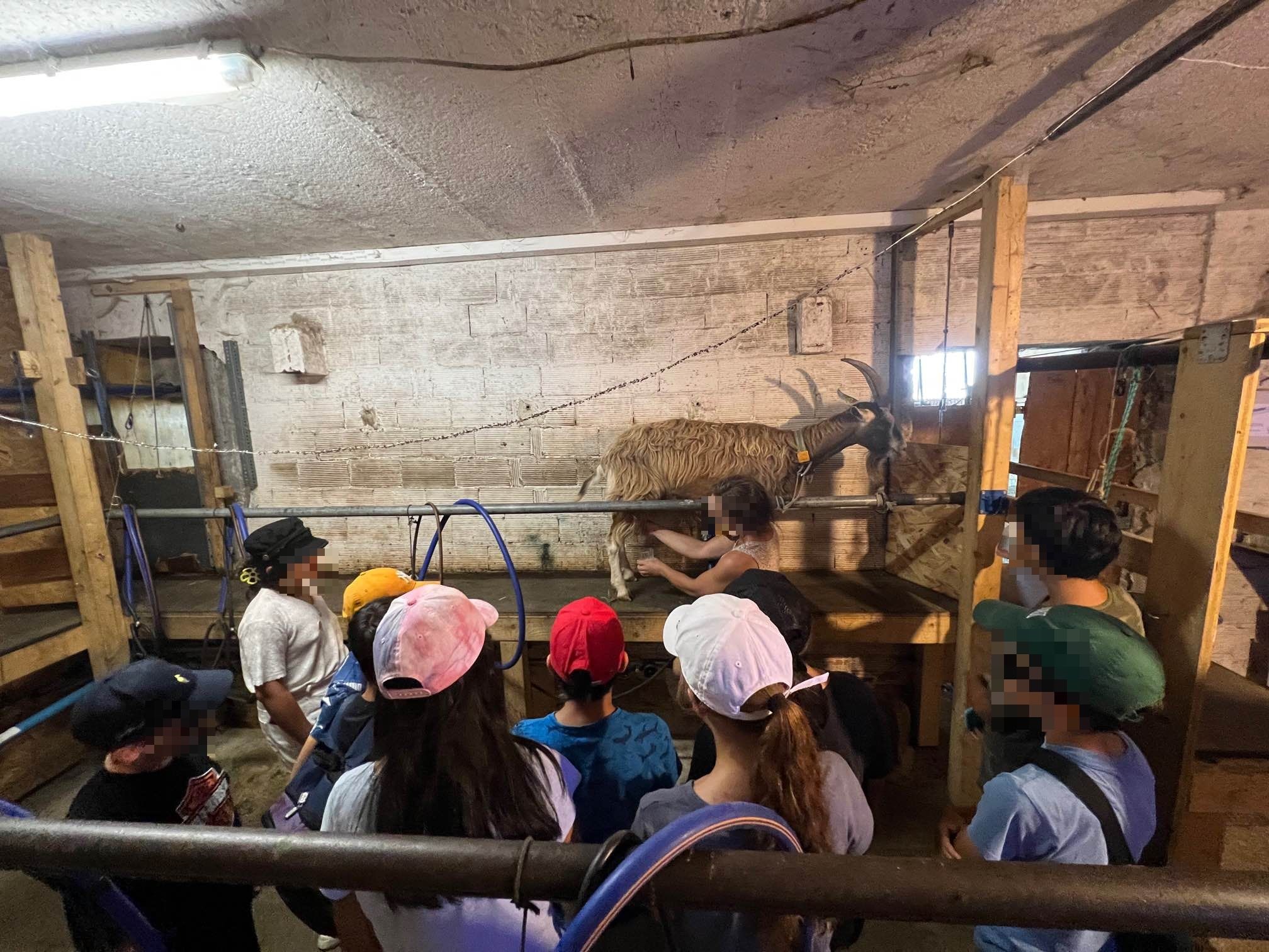 Découvre la vie de la ferme de la Touvière 2022