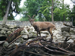 Découverte du métier de gardien d'animaux