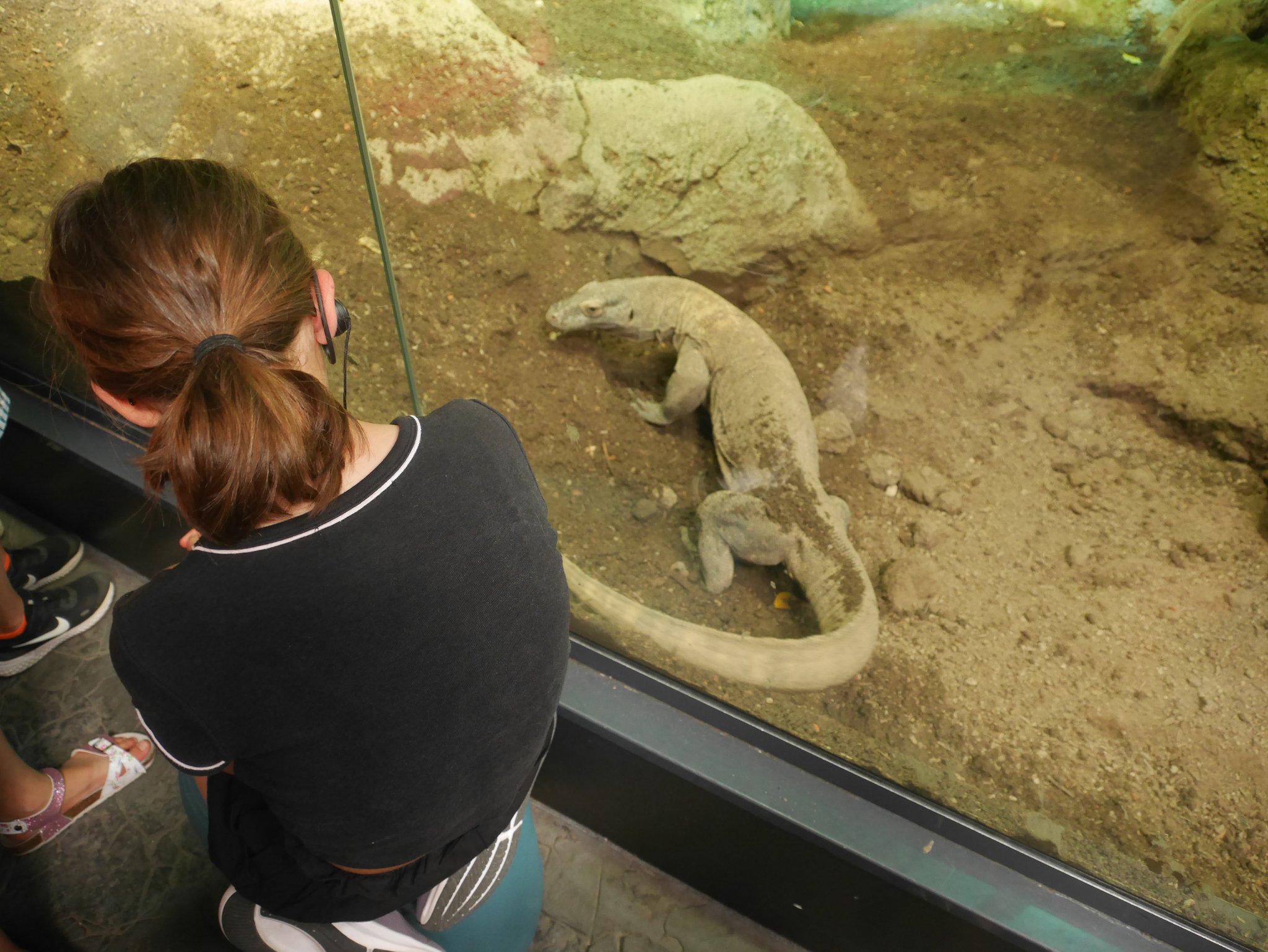 Enigme à Aquatis 2022