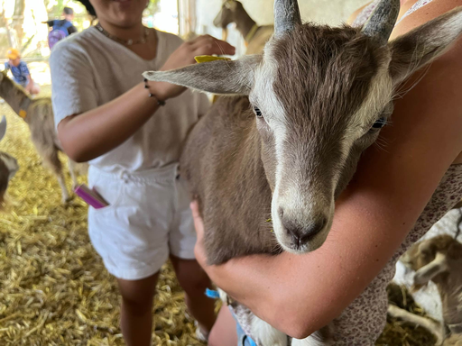 Découvre la vie de la ferme de la Touvière 2022