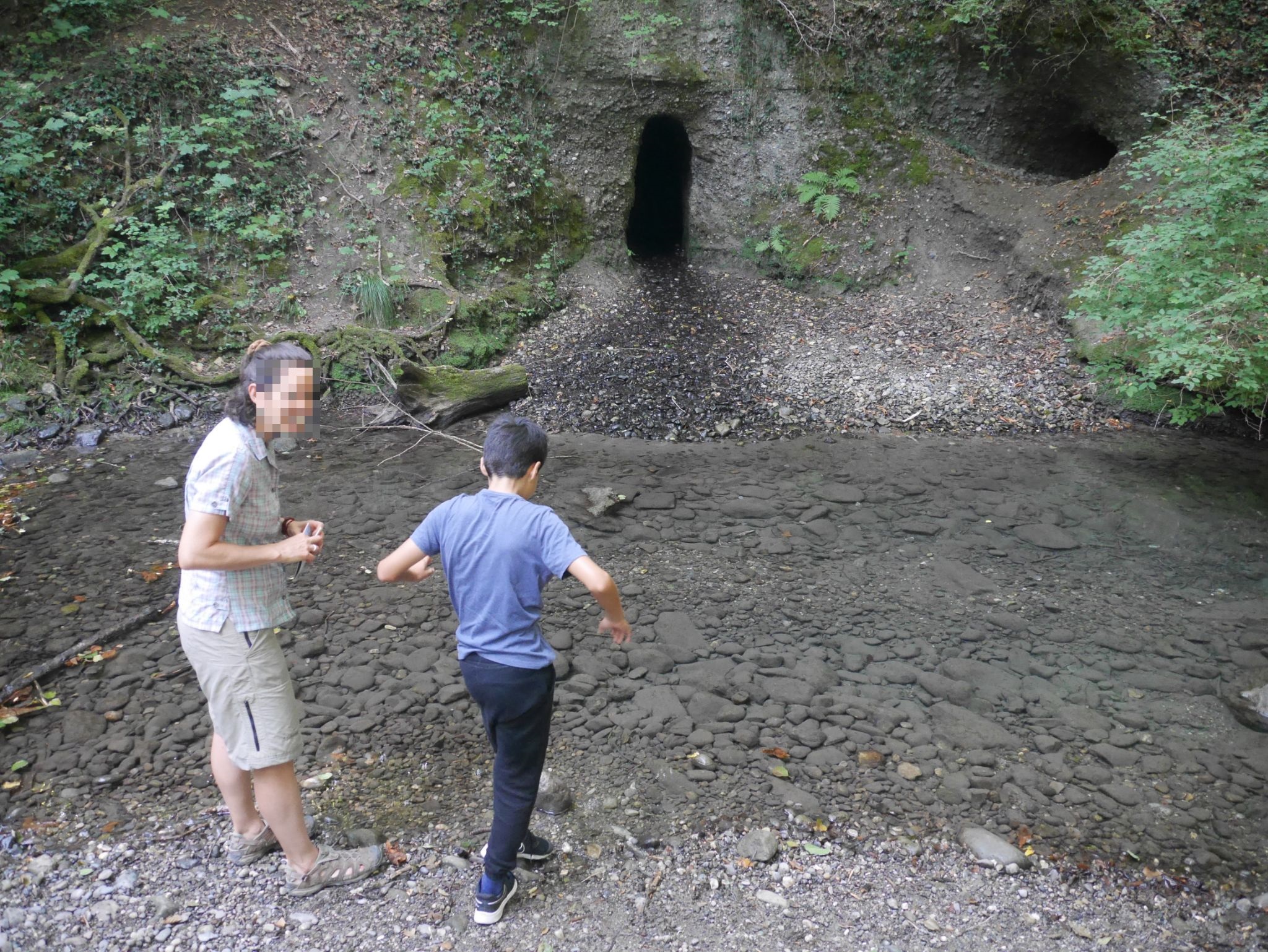 Animaux et plantes de la rivière 2022