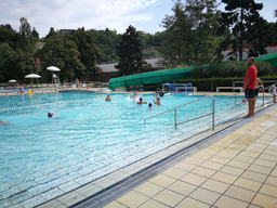 Natation et waterpolo