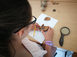 A la découverte de l'archéologie