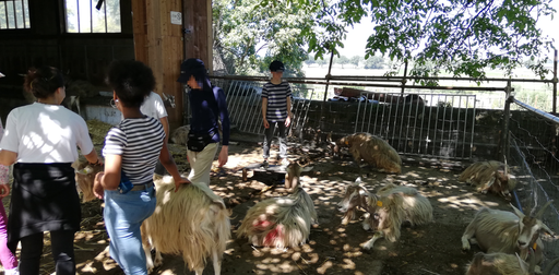 Découvre la vie de la ferme de la Touvière!
