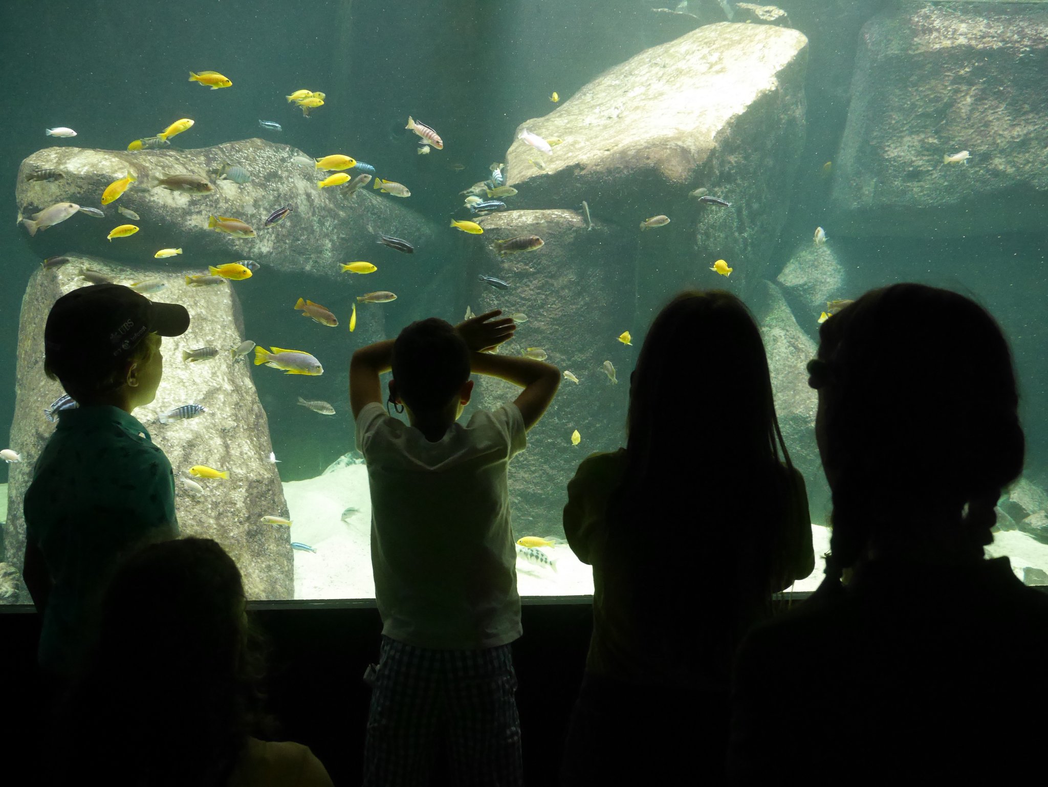 Enigme à Aquatis 2022