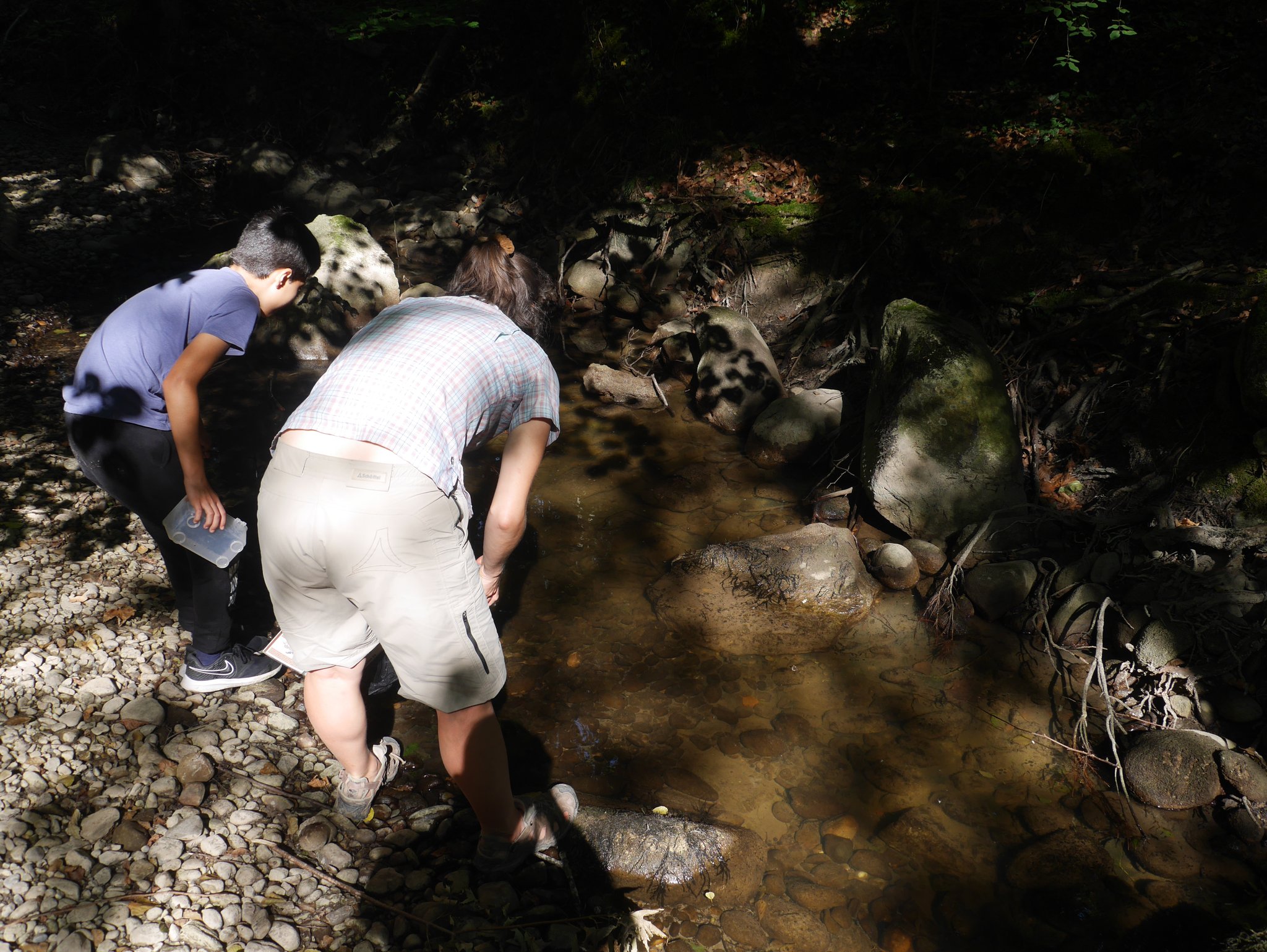 Animaux et plantes de la rivière 2022