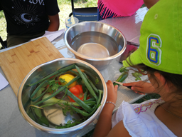 Cuisine dans le potager bio
