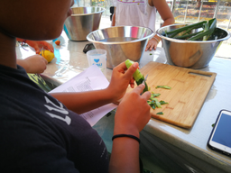 Cuisine dans le potager bio