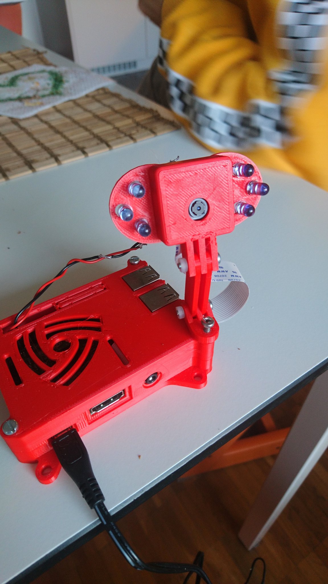 Identifier les survivants: webcam 2021