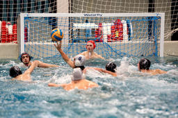 Natation et waterpolo