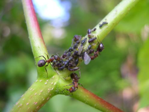 Les merveilles de la nature 2020