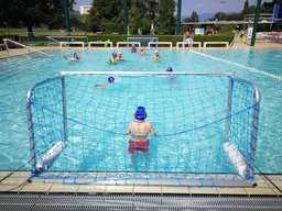 Natation et waterpolo