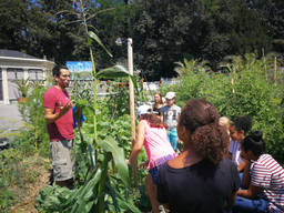 Cuisine dans le potager bio
