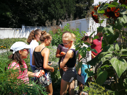 Cuisine dans le potager bio