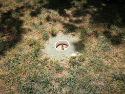 Initiation au golf urbain