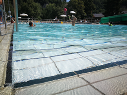 Natation et waterpolo