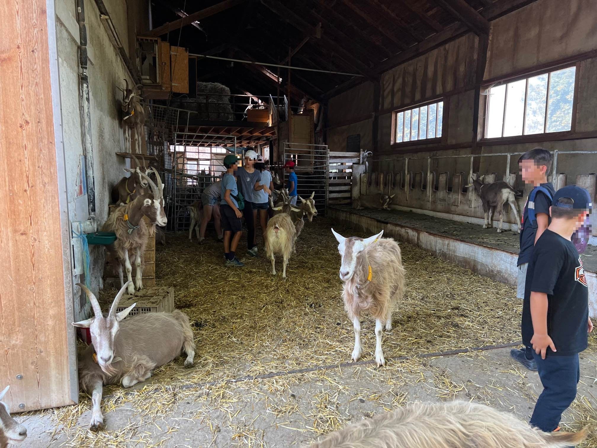 Découvre la vie de la ferme de la Touvière 2022