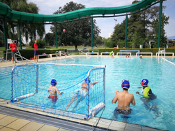 Natation et waterpolo