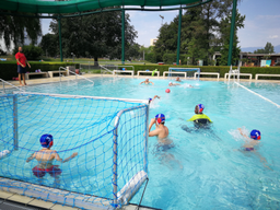 Natation et waterpolo