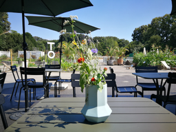 Cuisine dans le potager bio