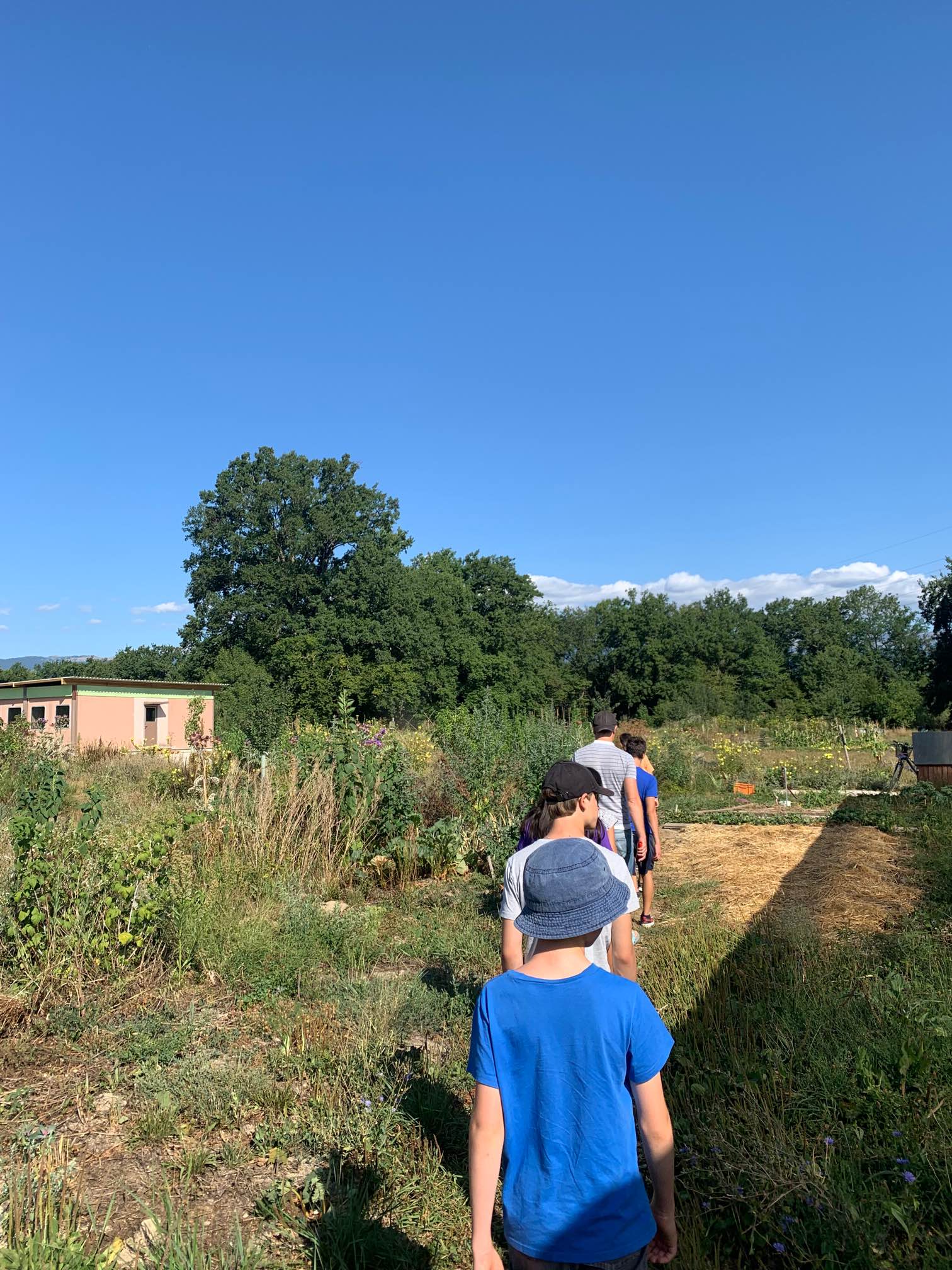 Initiation au jardinage 2022