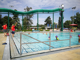 Natation et waterpolo