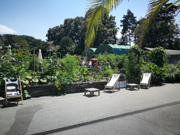 Cuisine dans le potager bio