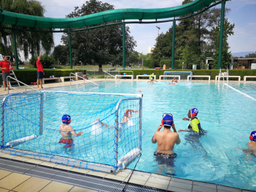 Natation et waterpolo