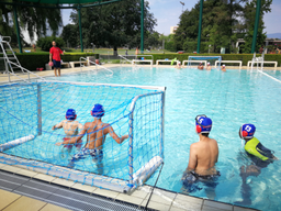 Natation et waterpolo