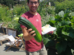 Cuisine dans le potager bio