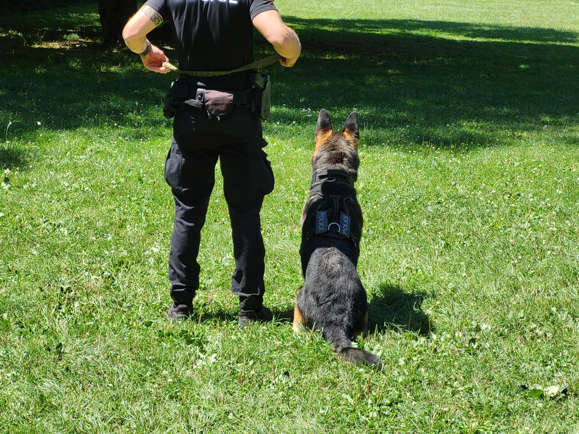 Démonstration de la brigade des chiens de Police 2022