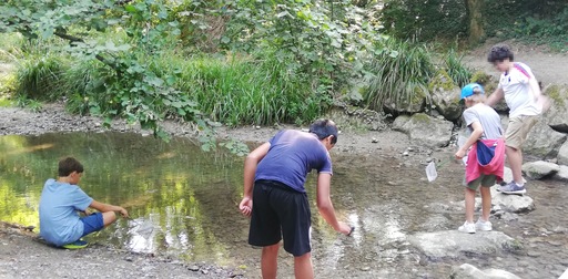 Animaux et plantes de la rivière 2020