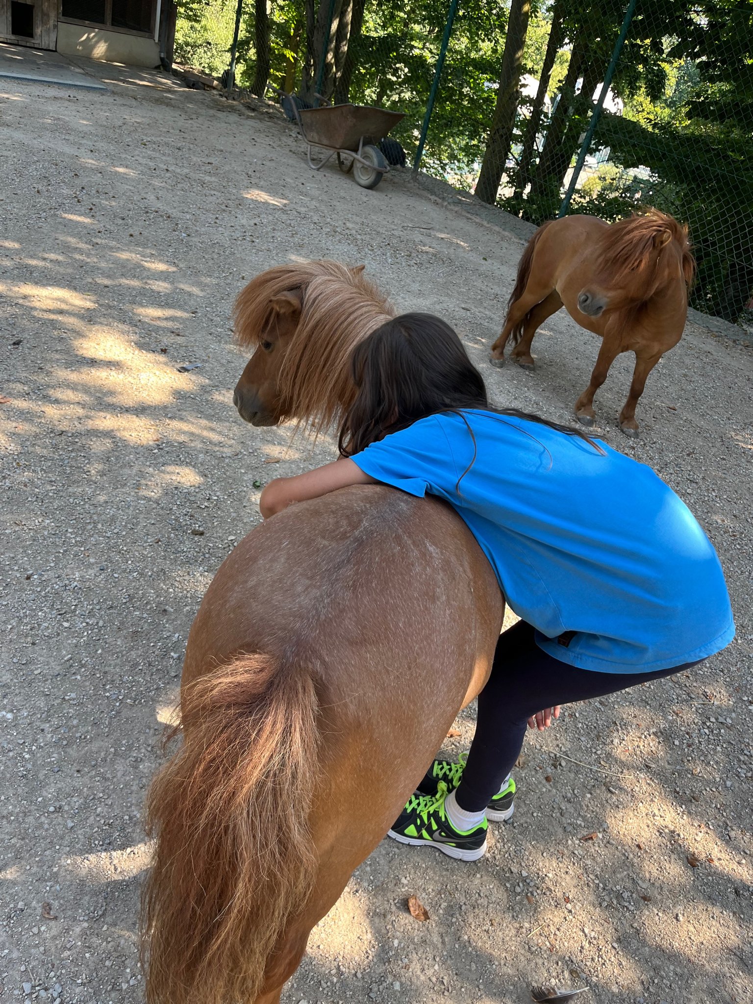 Découverte du métier de Gardien-ne d'animaux 2022