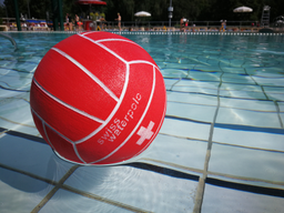 Natation et waterpolo 2020