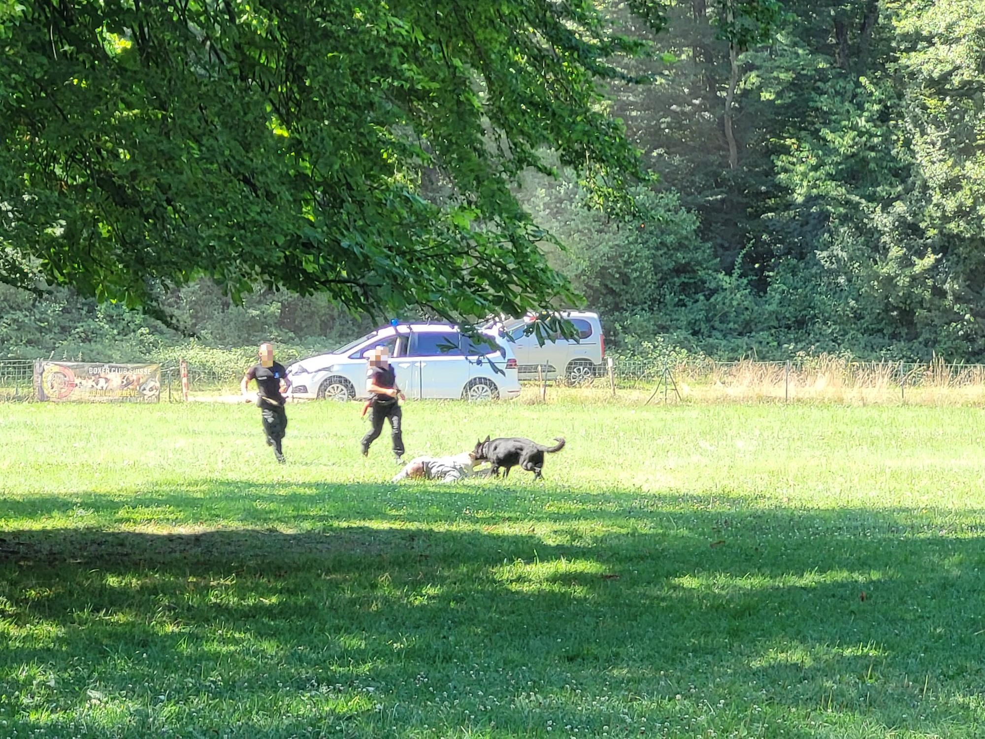 Démonstration de la brigade des chiens de Police 2022