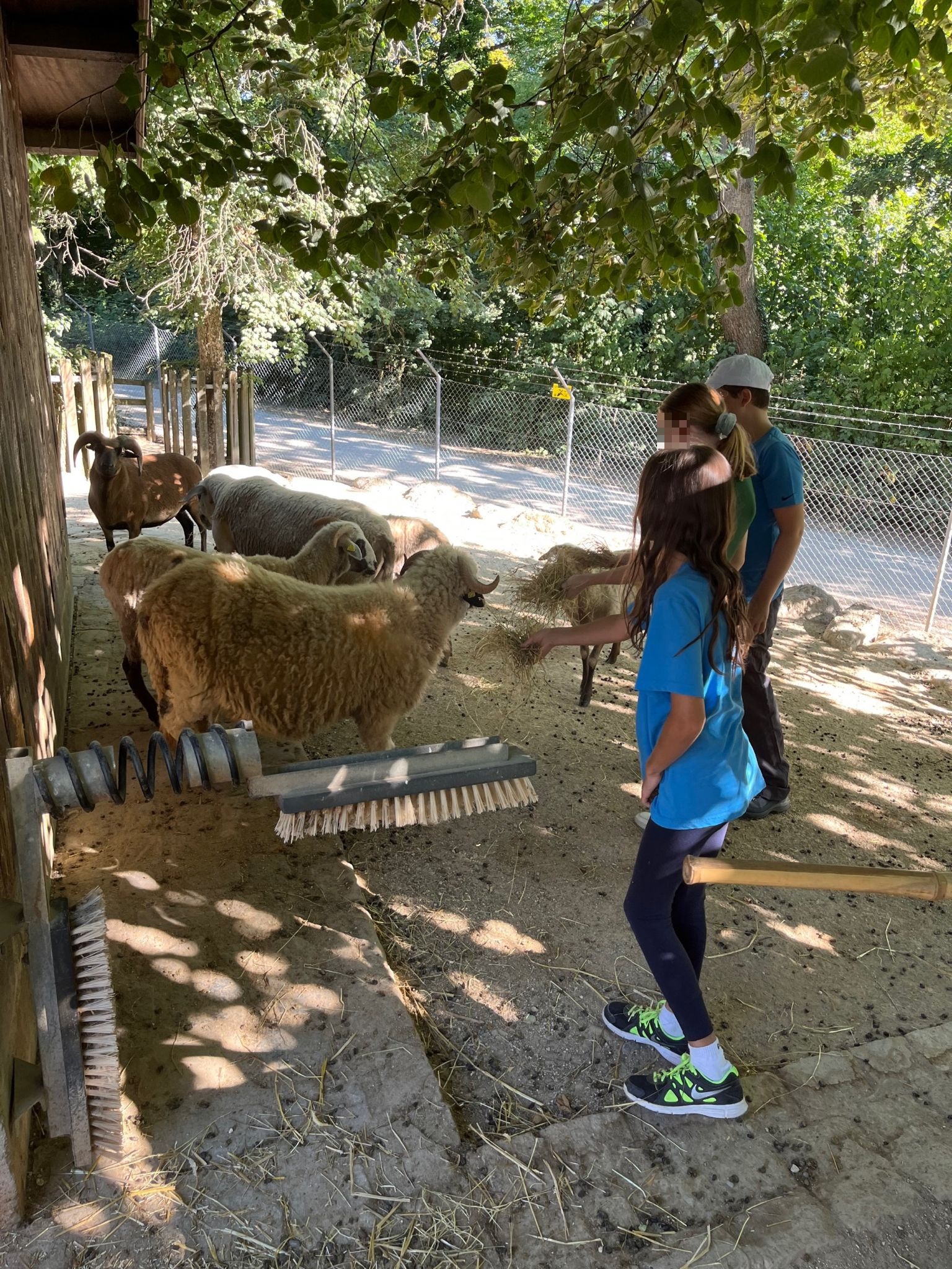 Découverte du métier de Gardien-ne d'animaux 2022