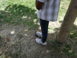 Initiation au golf urbain