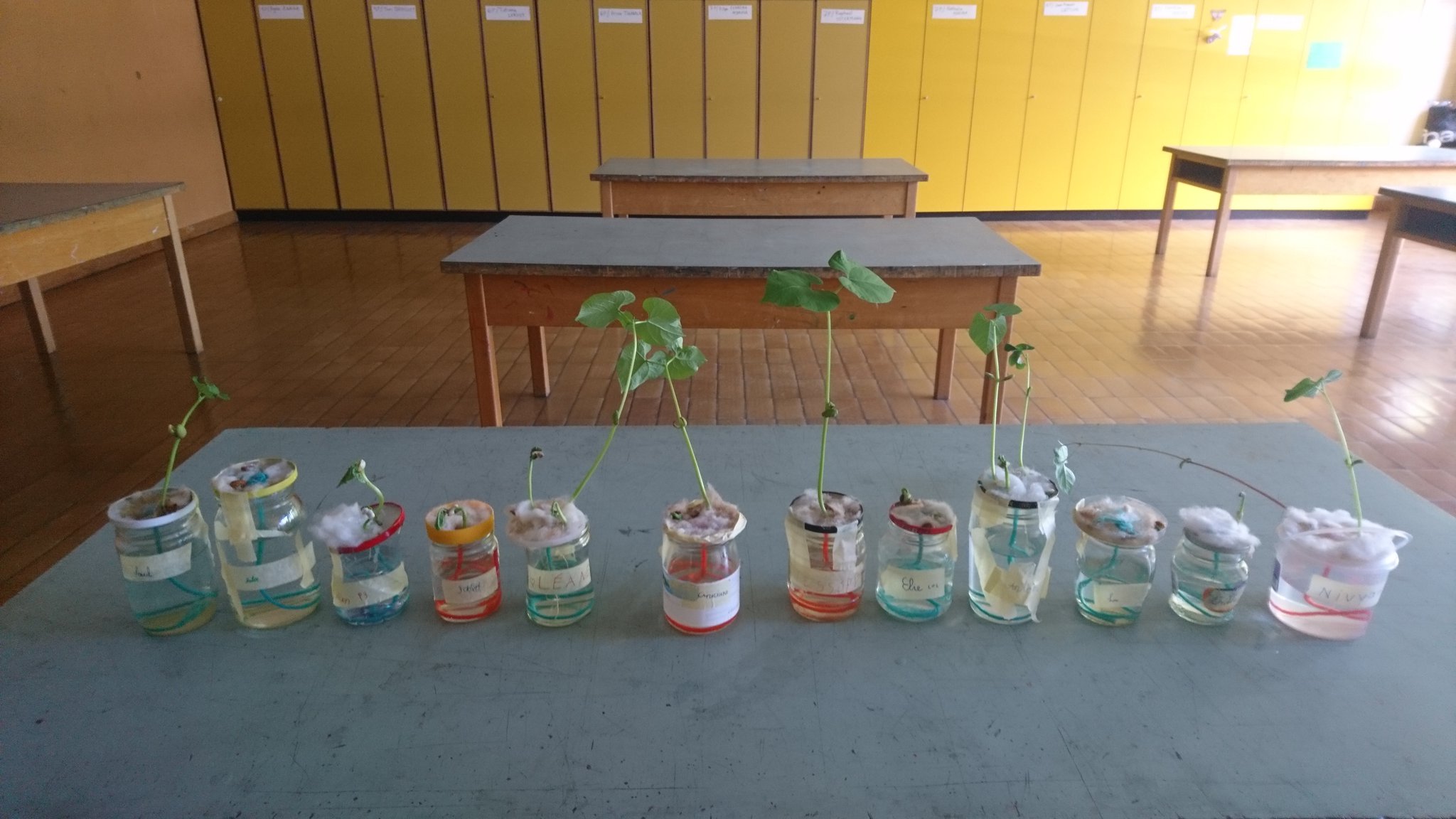 Ateliers bricolages énergies et alimentation